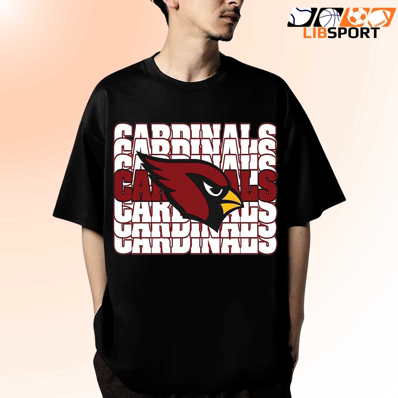 Arizona Cardinals Graphic Tee, Vintage T Shirt, Nfl Football Fan Apparel